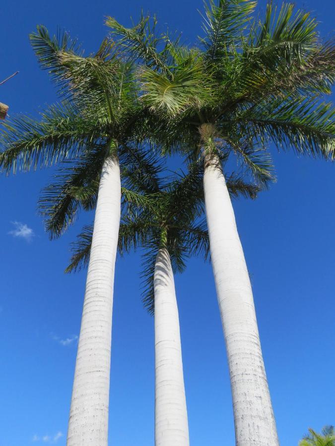 Casa Sur Villa Playa del Inglés Exteriör bild